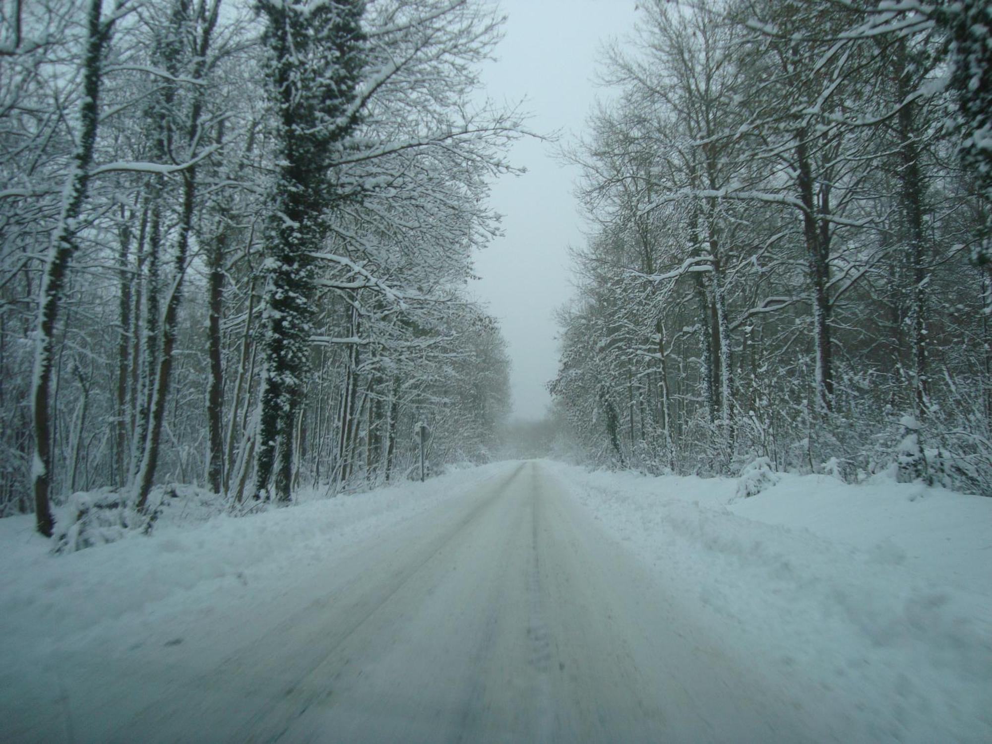 Le Temps D'Un Souffle - Gite Rural 3 Epis Sivry-Rance Exterior foto